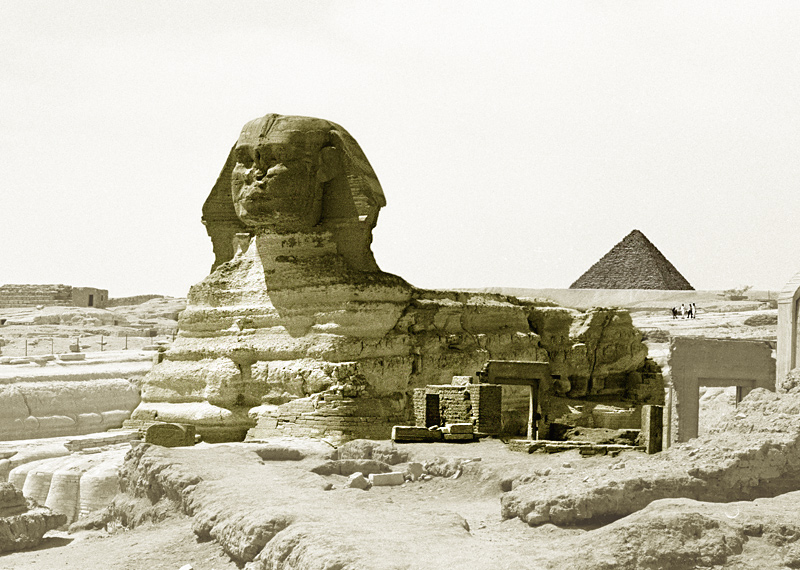 Le Sphinx près des pyramides de Gizeh, Le Caire, Egypte