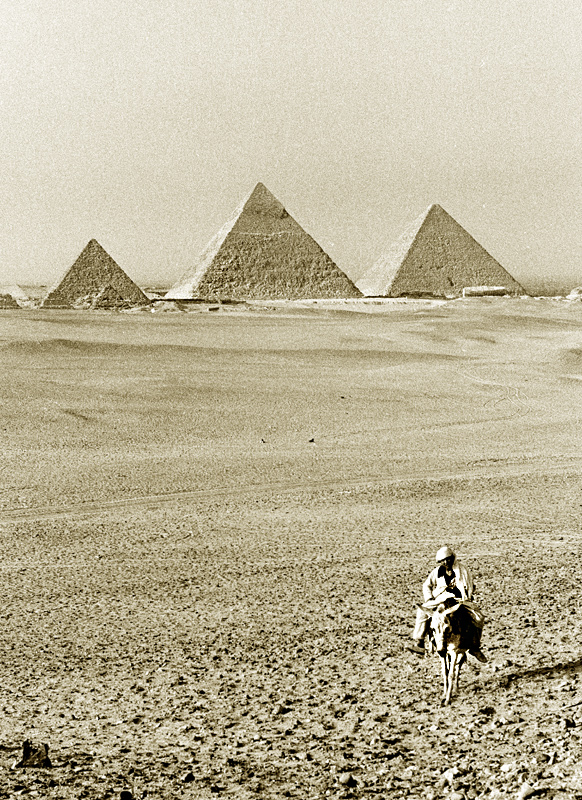 Muletier, pyramides de Gizeh, Le Caire, Egypte