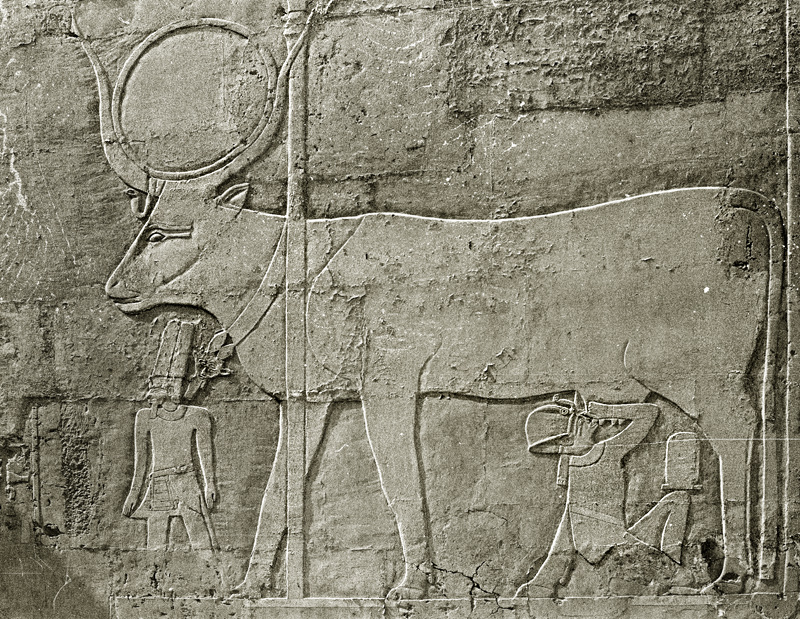 La déesse Hathor nourissant la reine Hatchepsout, temple de Deir el Bahari, Louxor, Egypte