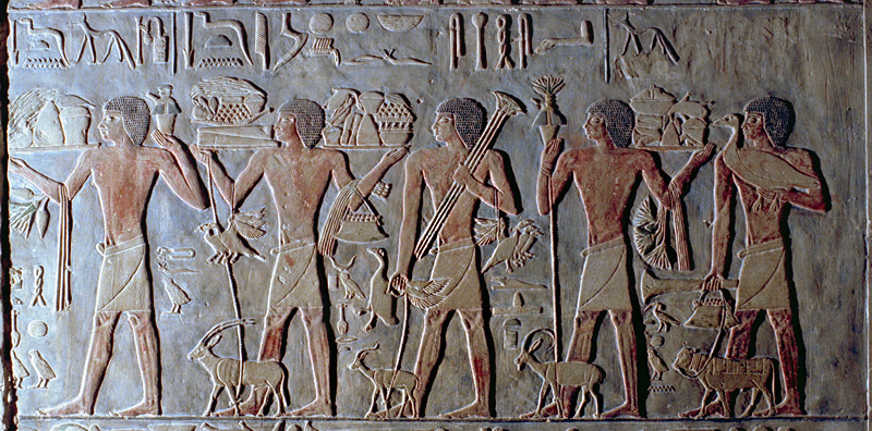 Bas-relief peint, tombe de Ptahhotep, Saqqarah, Egypte
