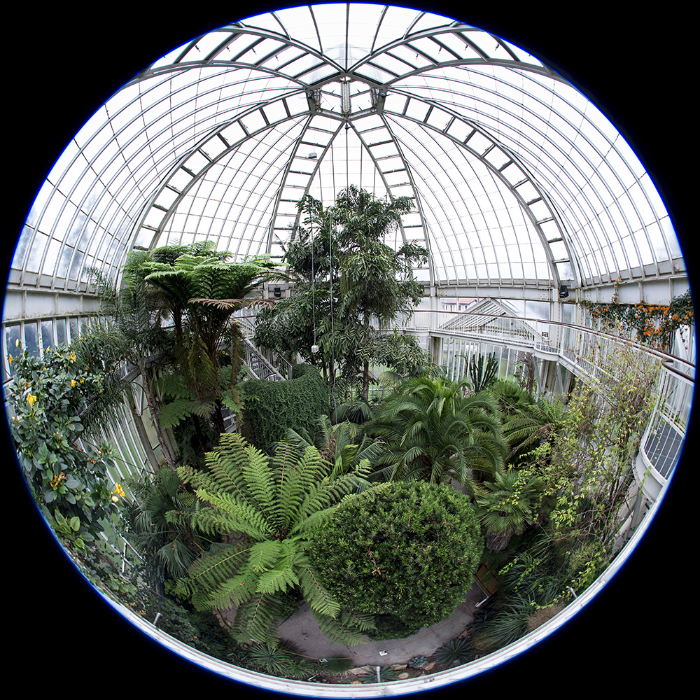 jardin botanique, Genve