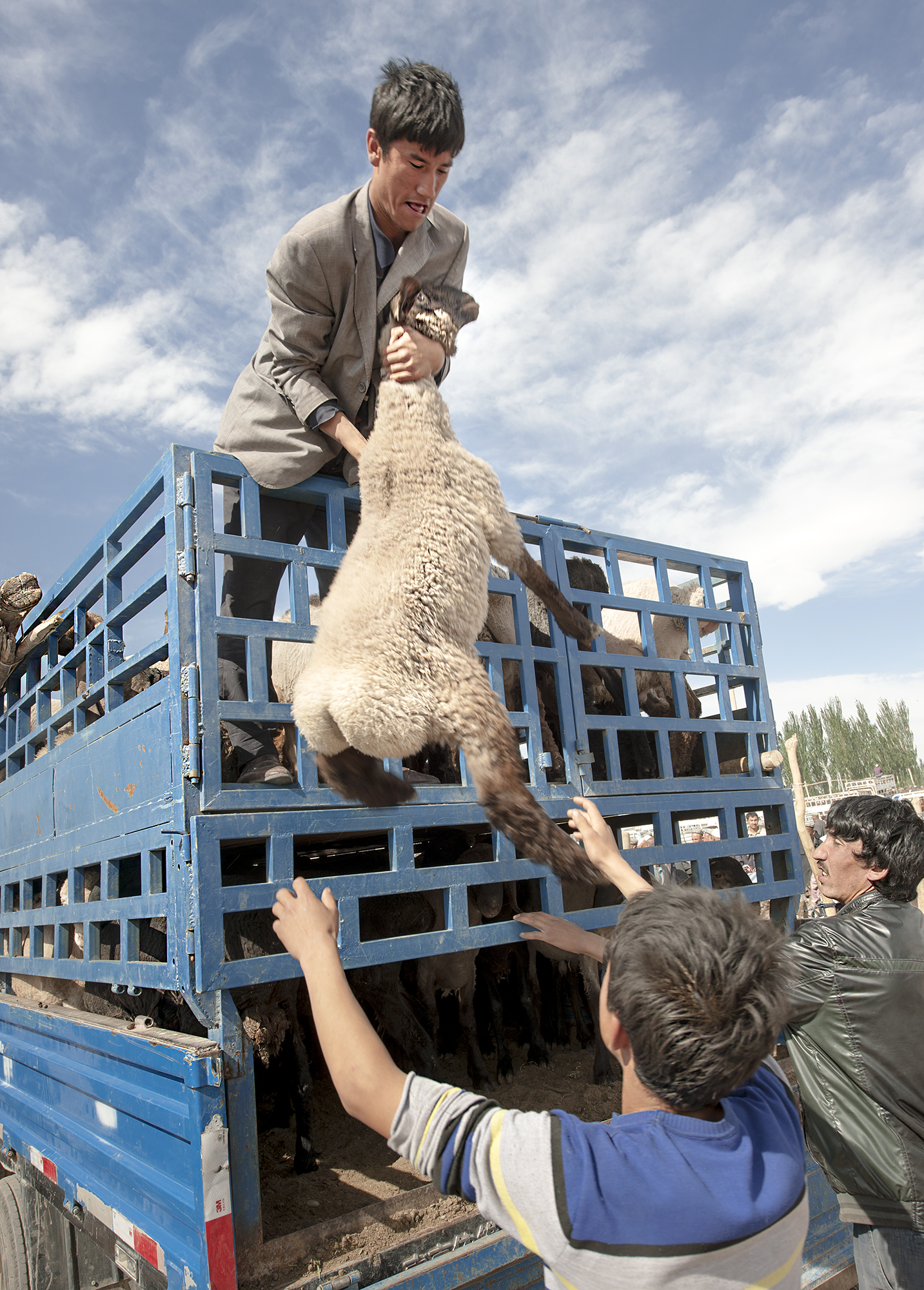 Transport du bétail, Kashgar
