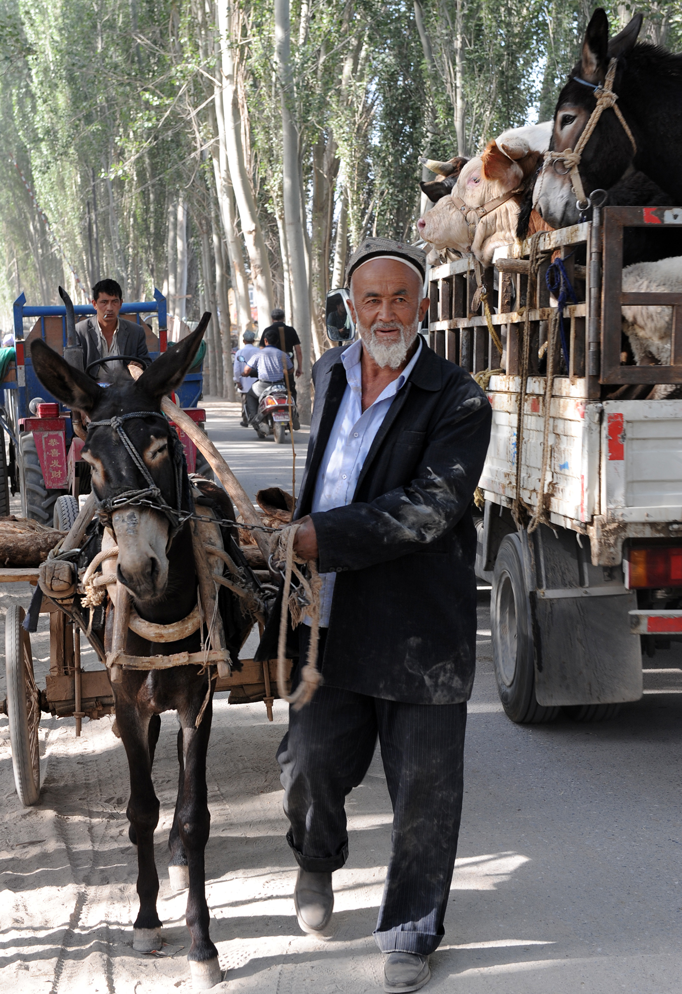 Marchand ouïghour avec son âne et charrette, Kashgar