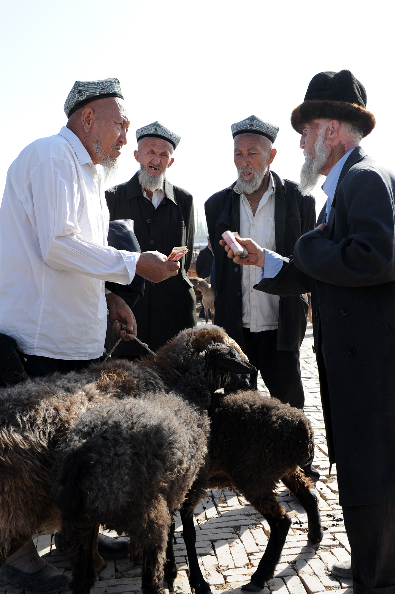 Vendeur et acheteur d'agneaux, Kashgar