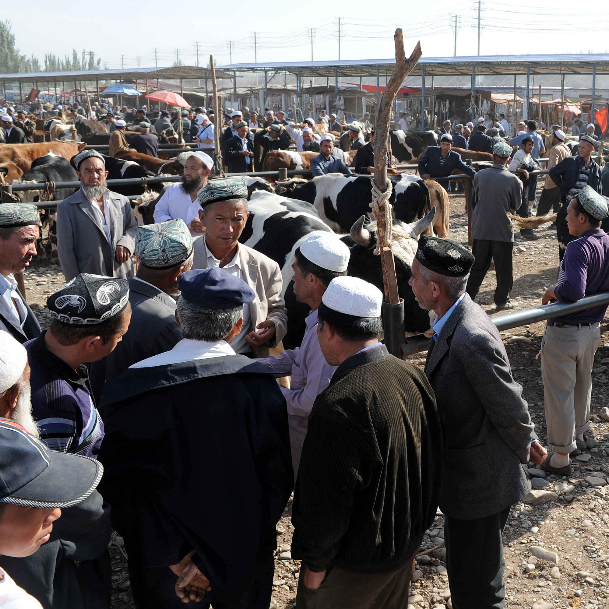 Le marché des animaux du dimanche, Kashgar