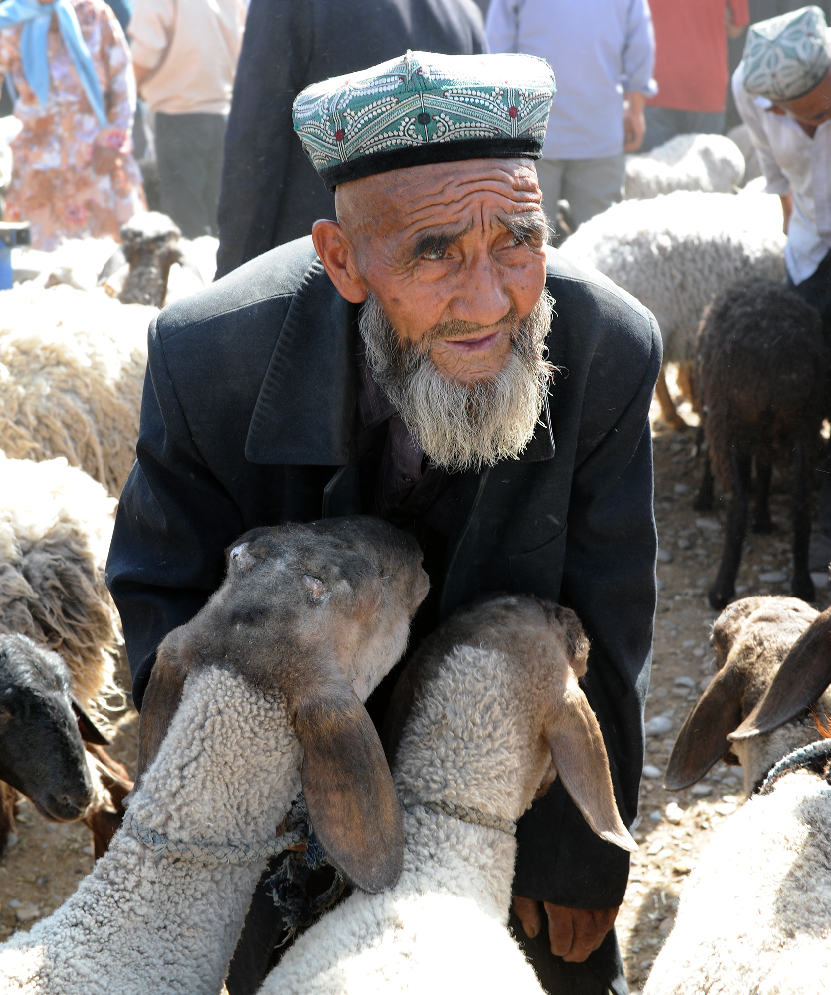 Berger et ses moutons, Kashgar