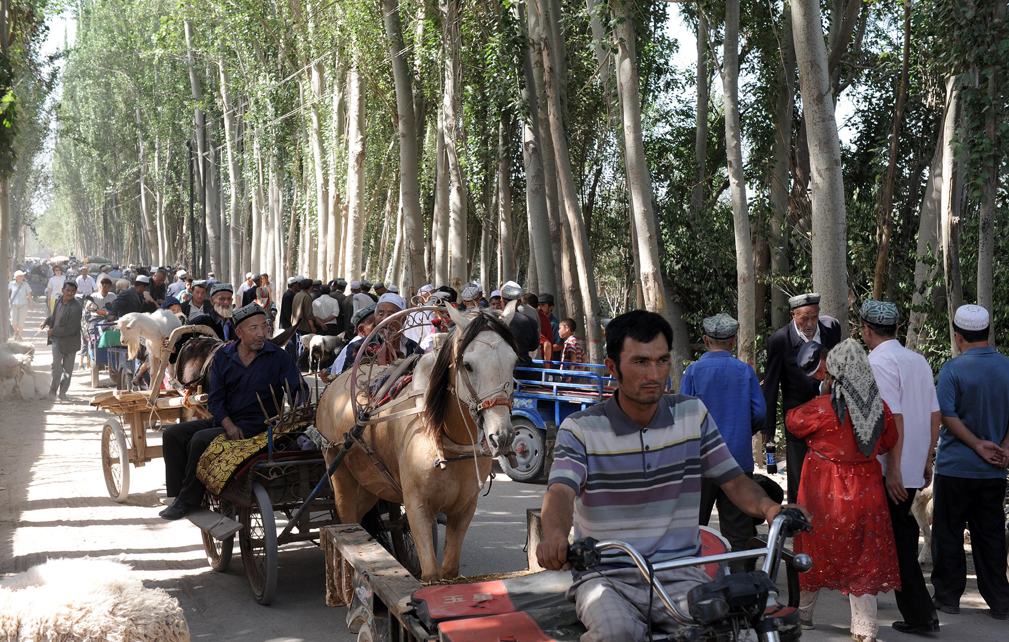 Allée d'accès au marché des animaux, Kashgar
