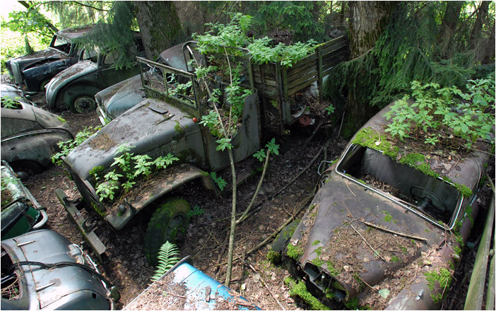 Le cimetire des voitures de Kaufdorf, Suisse