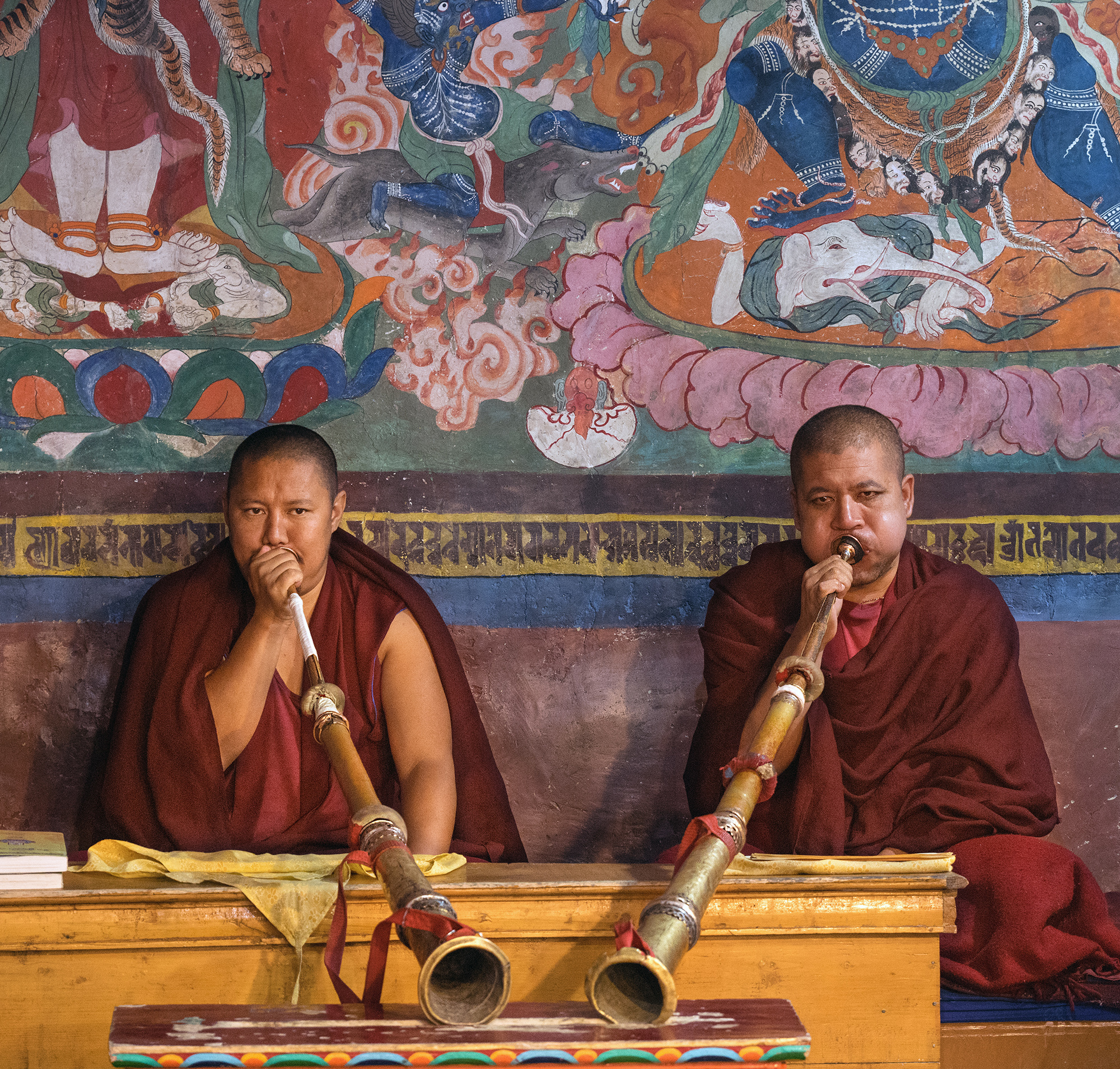 Au monastère Thiksey: moines jouant une version réduite du cor tibétain