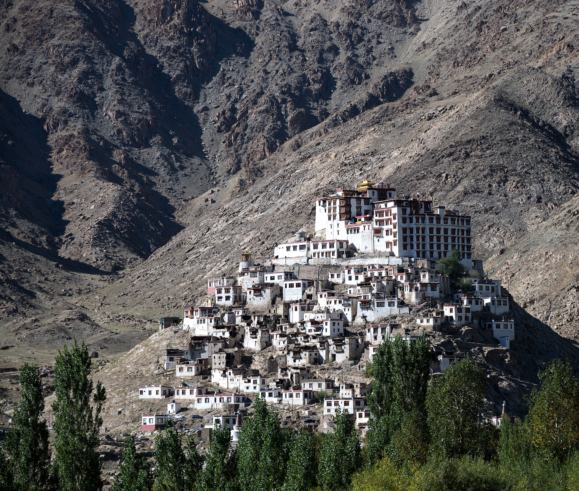Le monastère de Chemrey au Ladakh