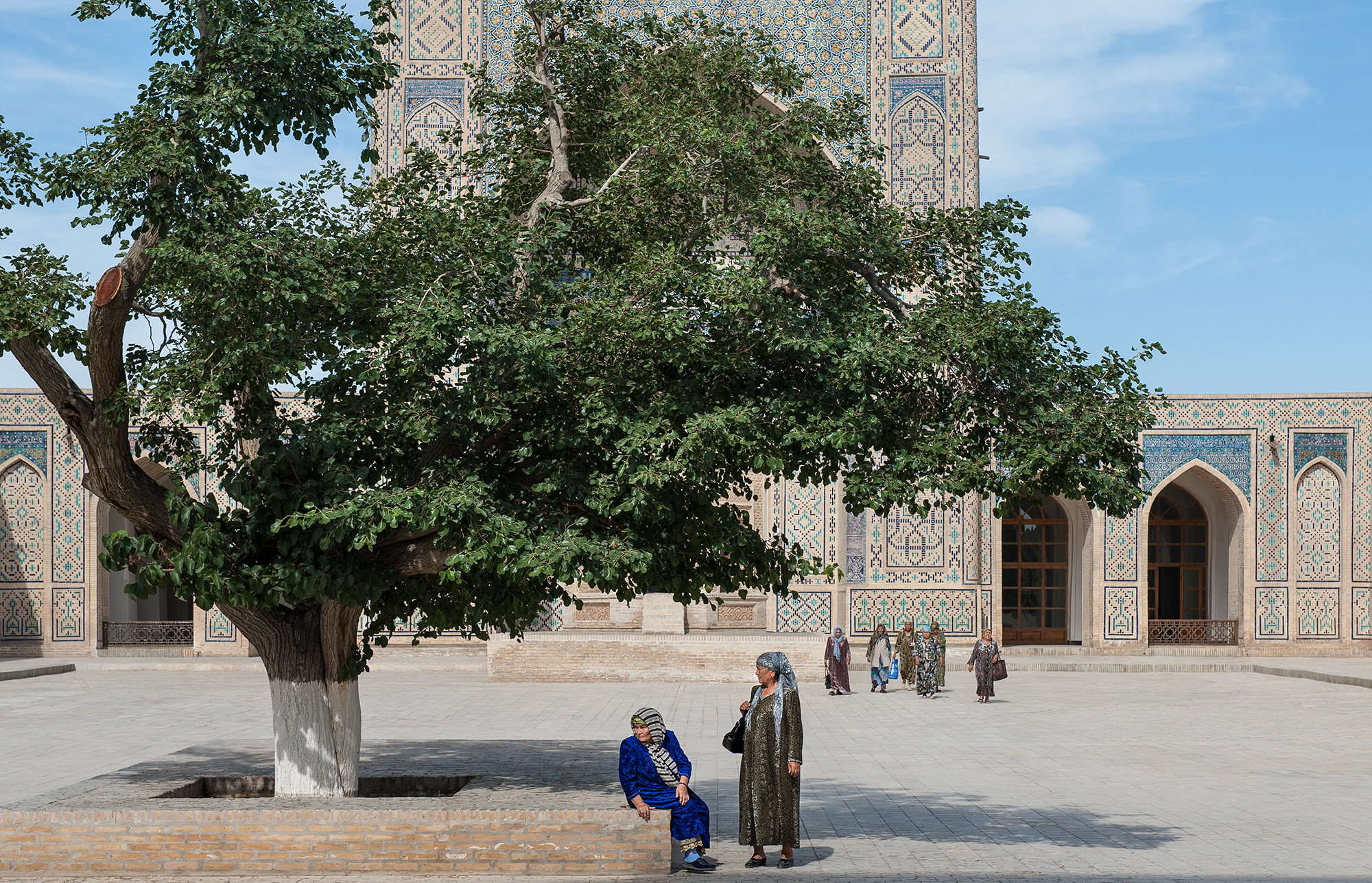 Le vieux mûrier de la mosquée Kalyan, Boukhara.