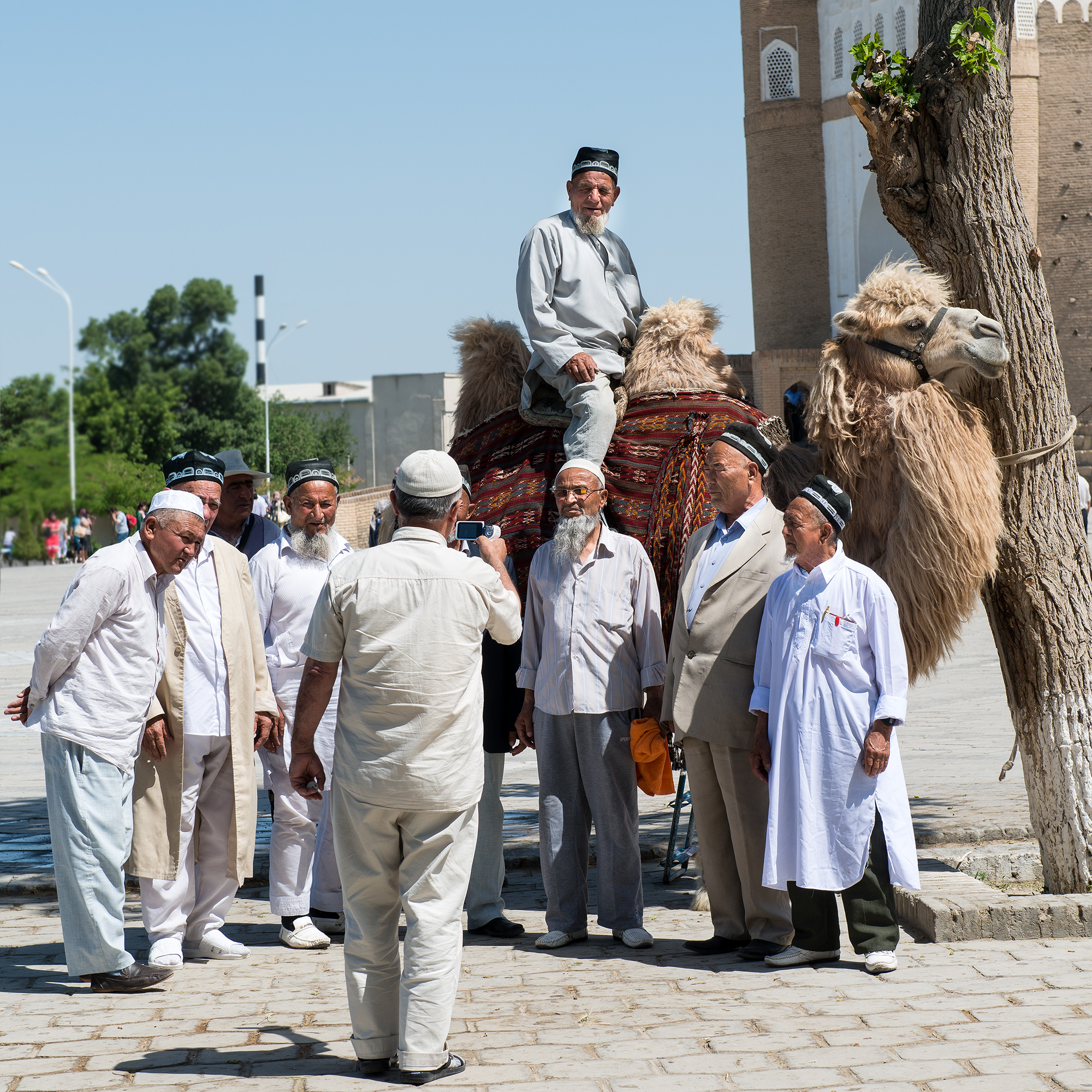 Anciens en visite devant la citadelle d'Arc, Boukhara.
