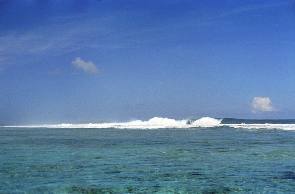 Le récif extérieur, atoll de Palmerston