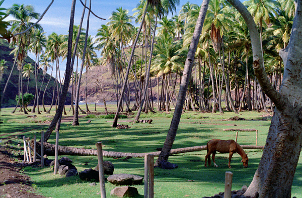 Hakaui, Nuku Hiva, les Marquises