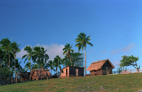 Ile Eua, archipel des Tonga