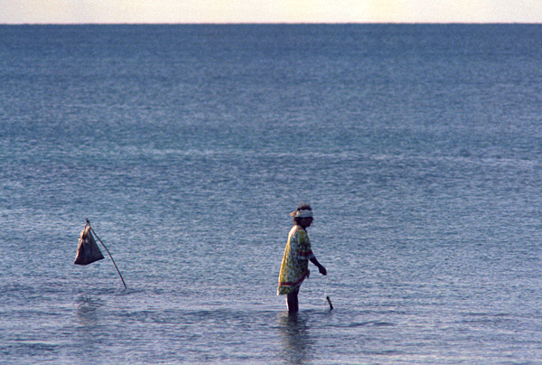 Pche dans le lagon, le Ouvea, les Loyaut, Nouvelle Caldonie