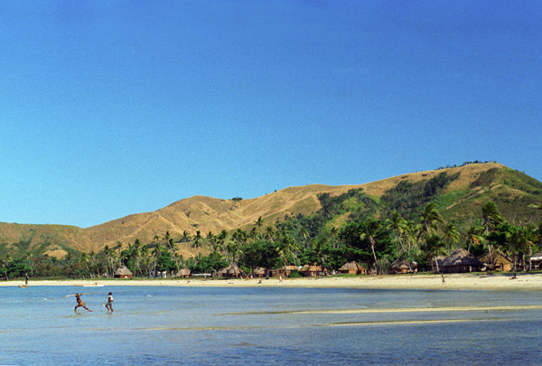 Pche au harpon, le Matuku, les Fidji