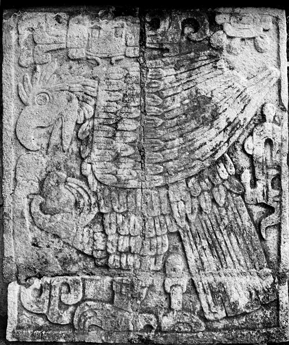 Aigle dvorant un coeur humain, Plate-forme des Aigles, Chichn Itz, Yucatn, Mexique