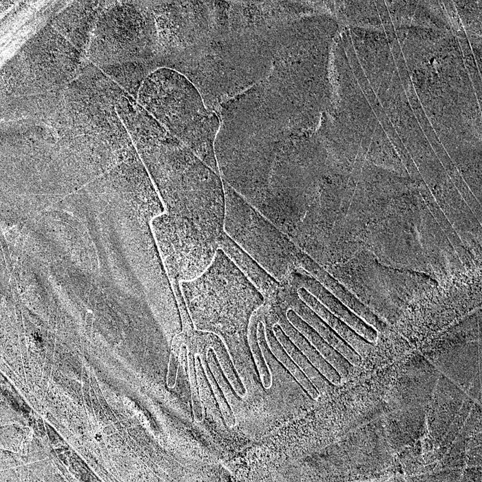 Nazca: goglyphe