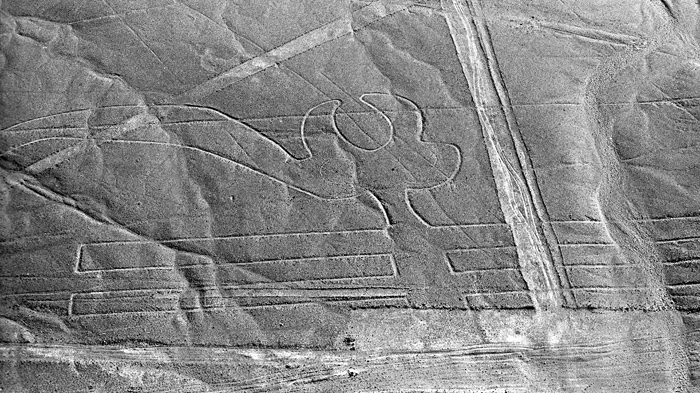 Nazca: gigantesque bec