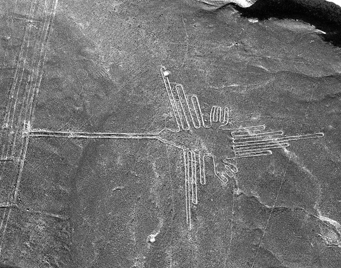 Nazca: un colibri