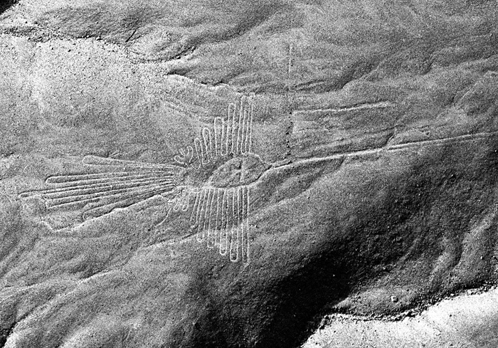 Nazca: un colibri