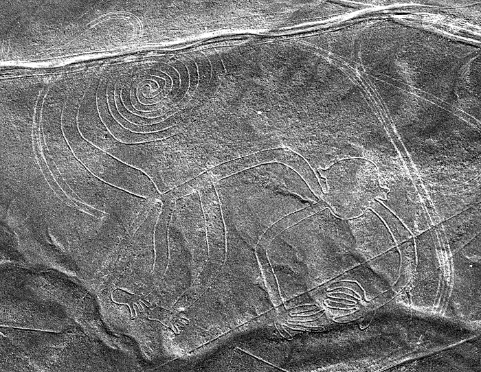 Nazca: le singe