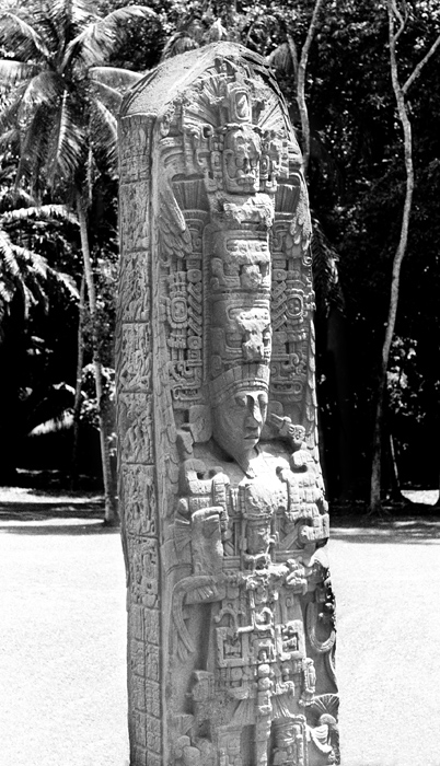 Stèle D, Quiriguá, Guatemala