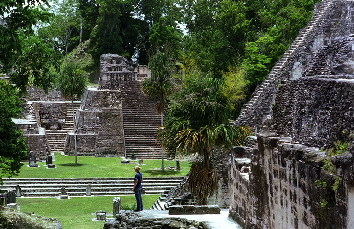 Les ruines Mayas de Tikal, jungle du Petn, Guatemala 