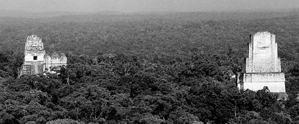 La cité de Tikal dans la jungle de Petén, Guatemala